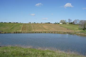 Site of the White Oak Repository