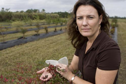 Sandra Wilson, University of Florida professor of environmental horticulture. Photo provided by Samantha Murray