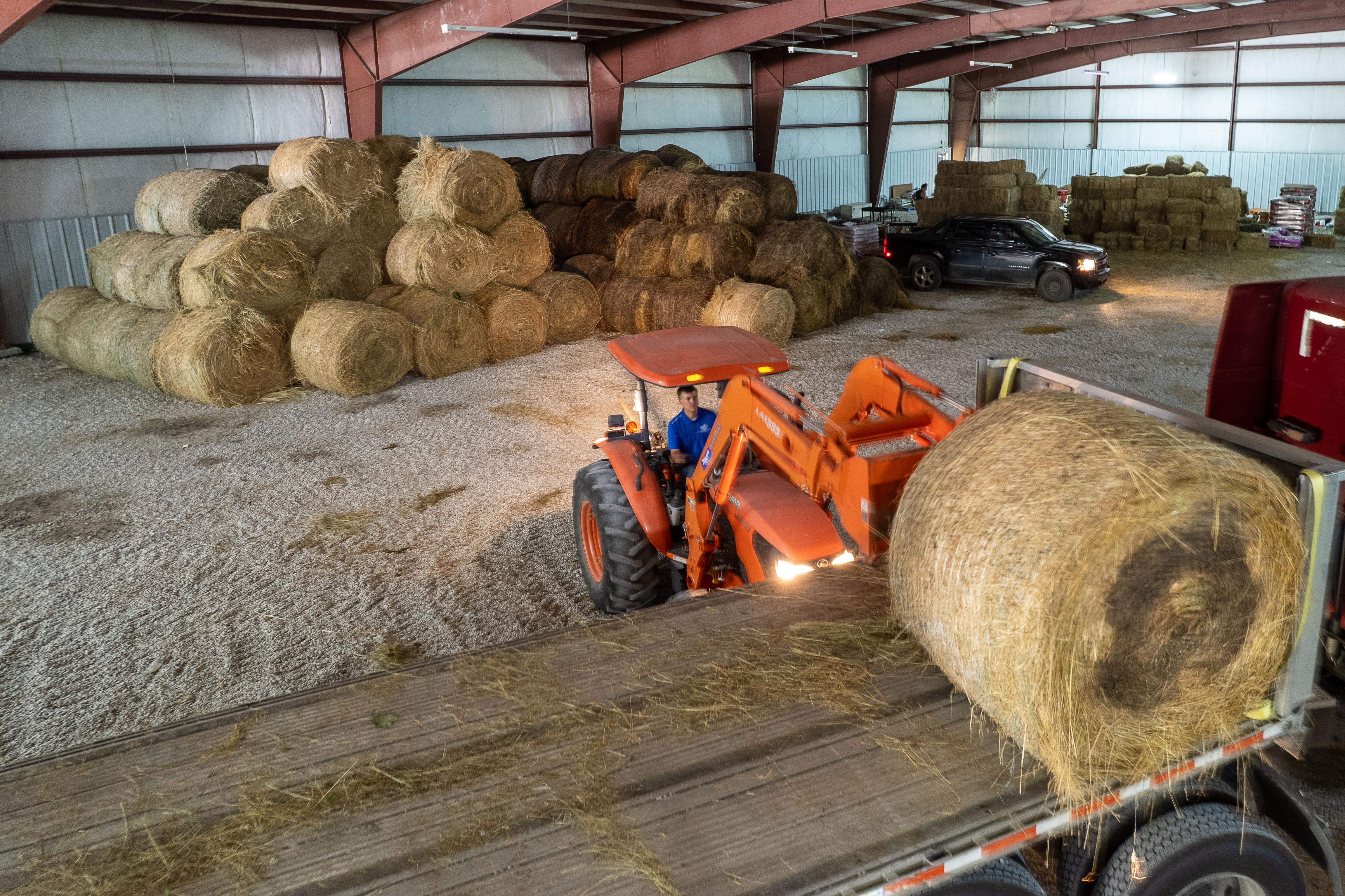 Agricultural and natural resources extension agent Reed Graham unloads donated hay in Jackson. Photo by Matt Barton, UK Agricultural Communications Specialist.