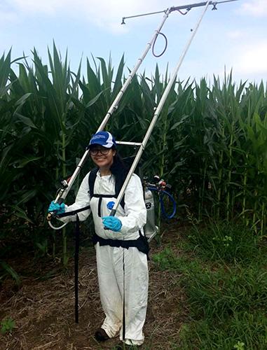 Cristina Castellano uses a backpack boom to spray different fungicides for a research trial at the UK Research and Education Center. Photo by Nolan Anderson, UK staff scientist and doctoral student.