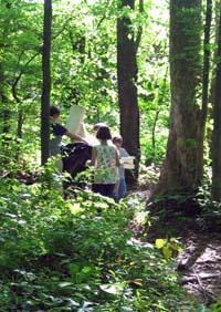 students walking in woods