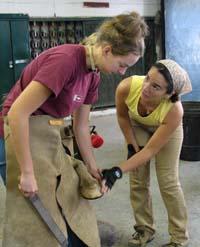 horseshoeing students trim feet 