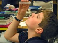 Student looking at microscope slide Student looking at microscope slide