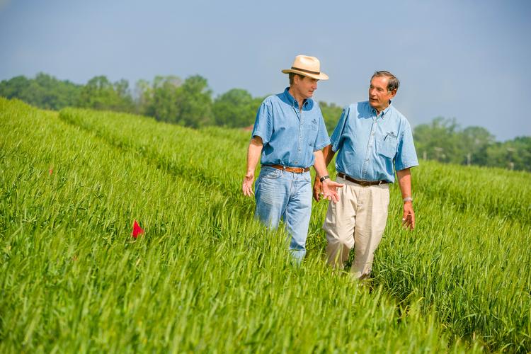 Lloyd Murdock and Jim Herbek, both UK professor emeritus, were instrumental in making no-till work for wheat. Photo by Matt Barton, UK agricultural communications.