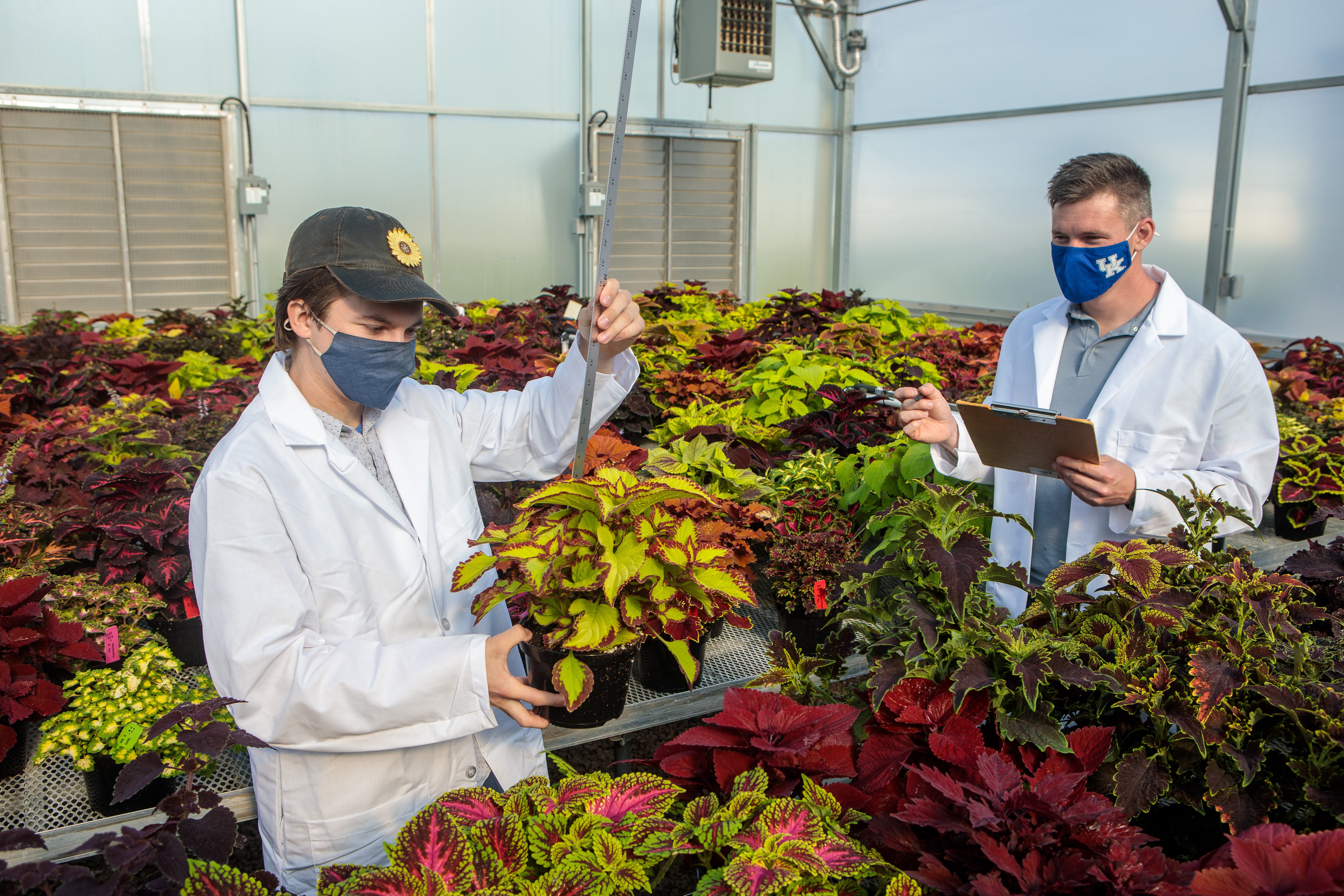 Ty Rich (l) and Paul Cockson collect data in a coleus cultivar trial that Rich is leading. Photo by Matt Barton
