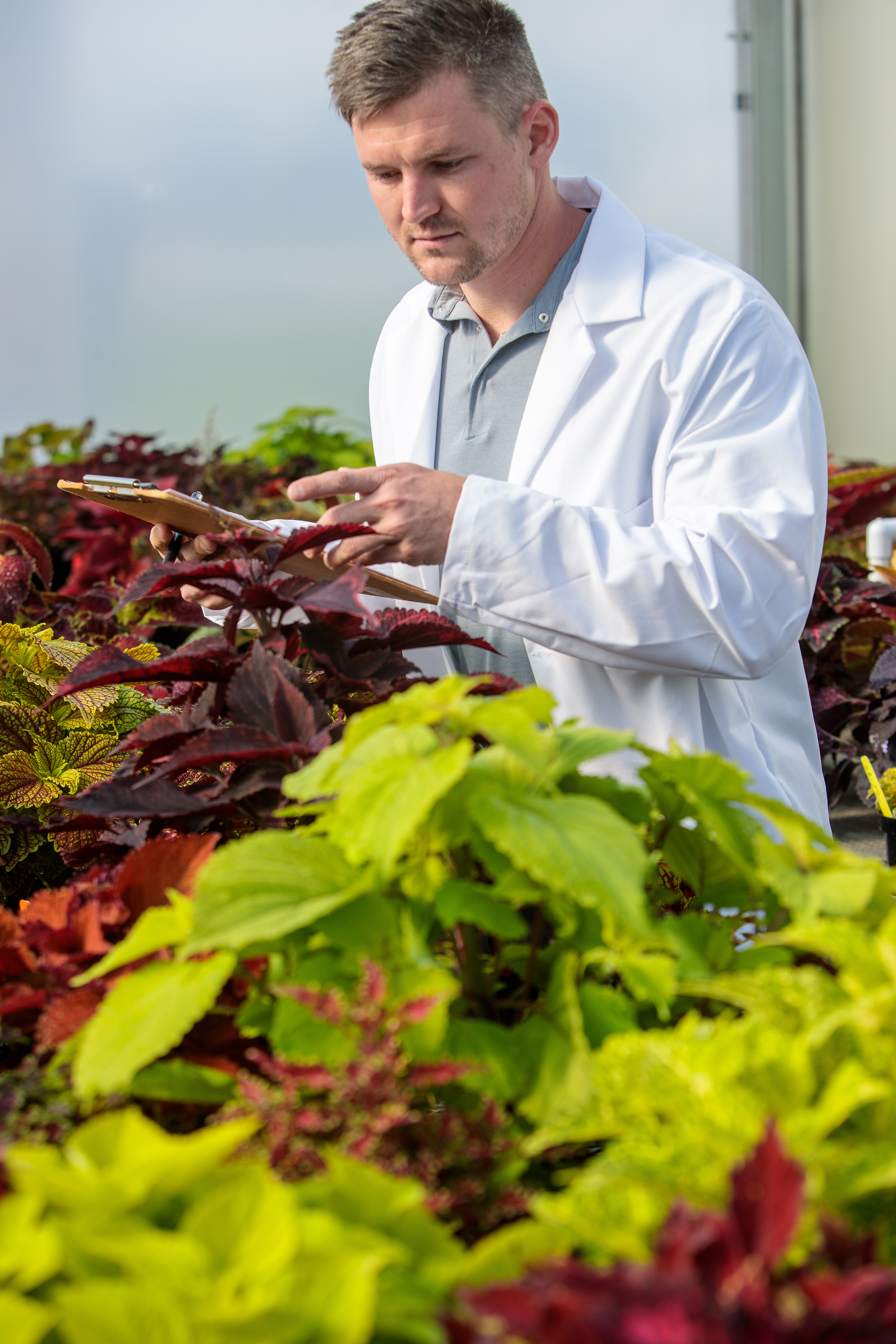 Doctoral graduate student Paul Cockson lends his support to a coleus cultivar trial at the University of Kentucky. Photo by Matt Barton