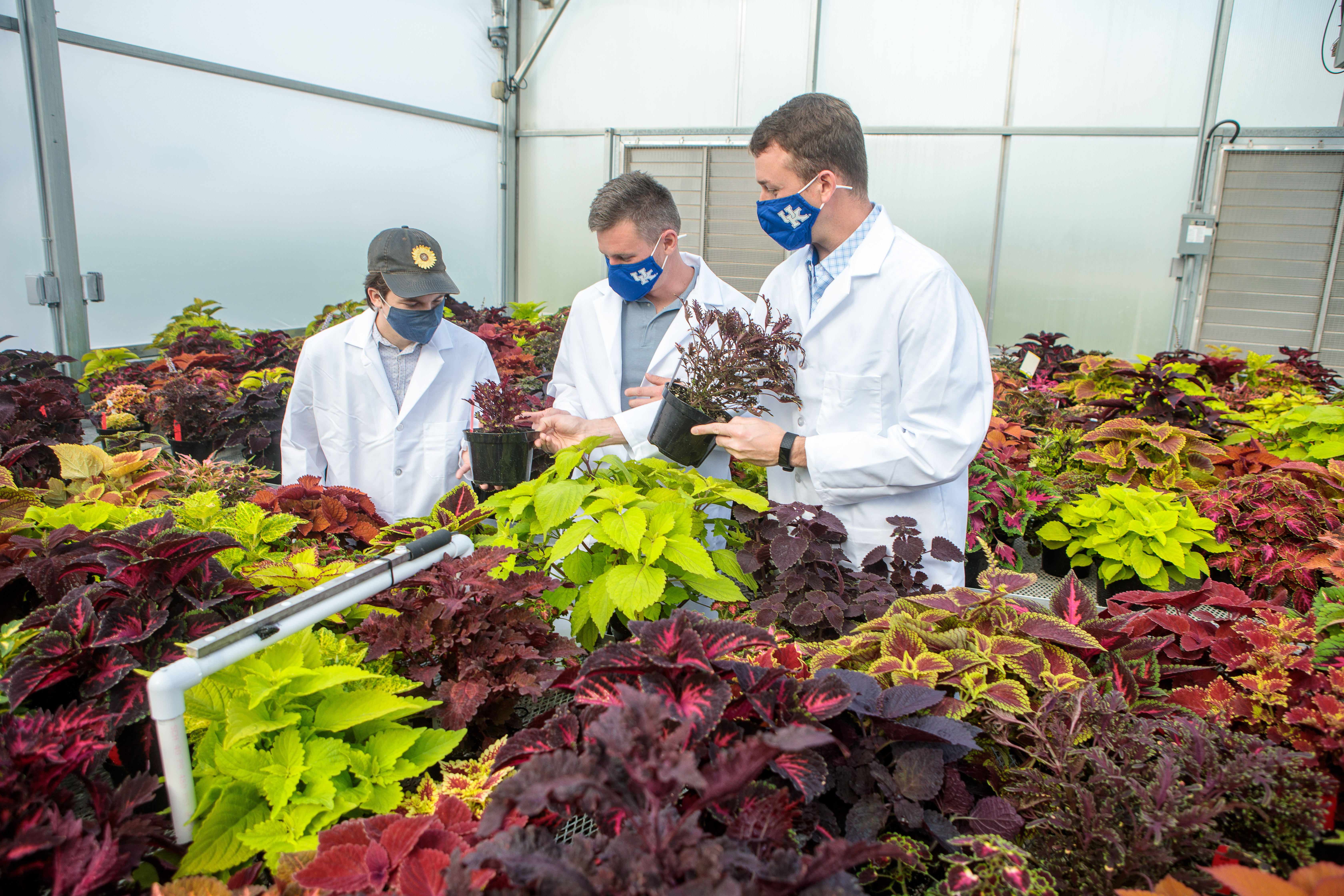(l-r) Ty Rich, Paul Cockson and Garrett Owen compare notes for a coleus cultivar trial at the UK Horticultural Research Farm. Photo by Matt Barton