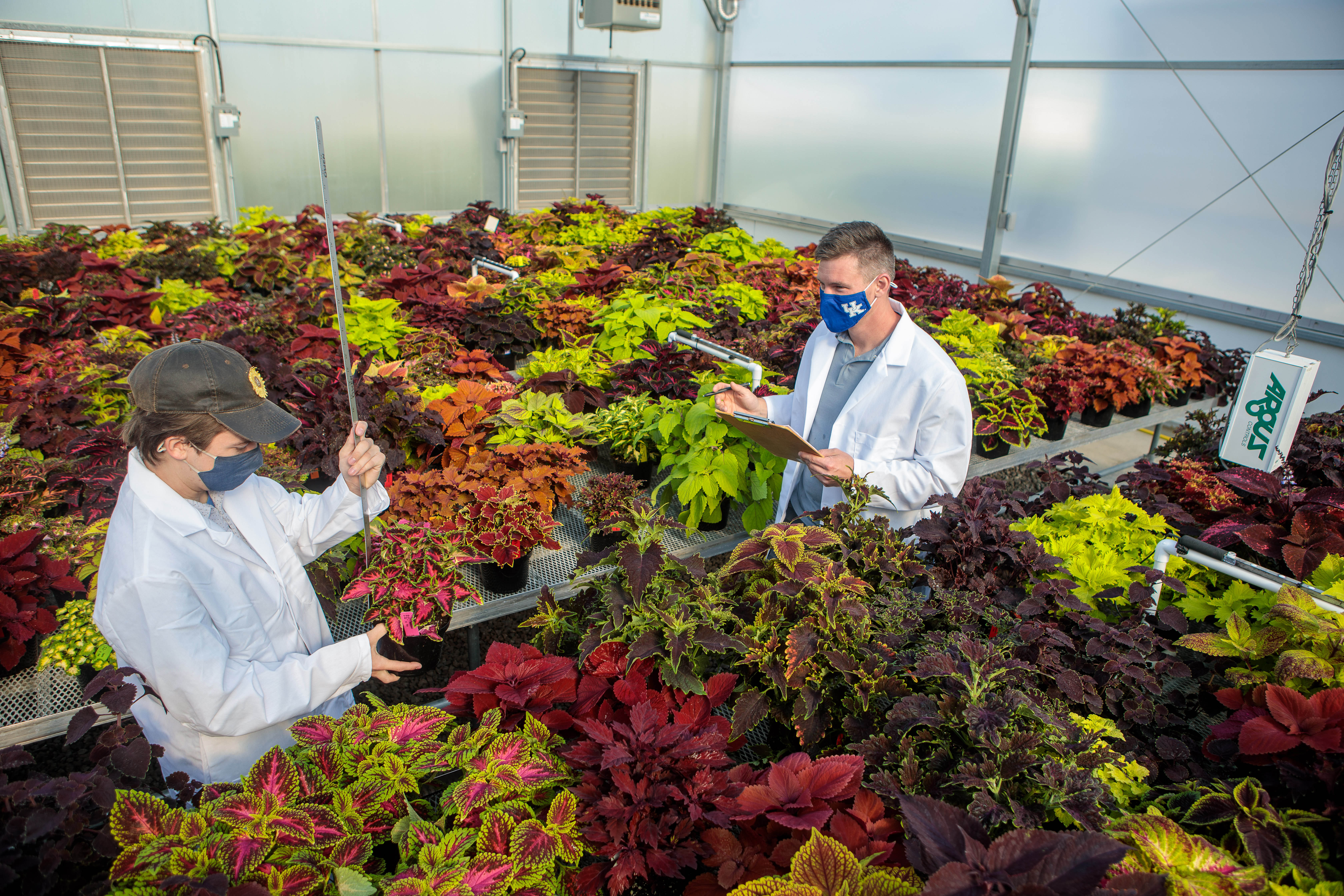 Project lead Ty Rich (left) and Paul Cockson record data in a coleus cultivar trial at the UK Horticultural Research Farm. Photo by Matt Barton