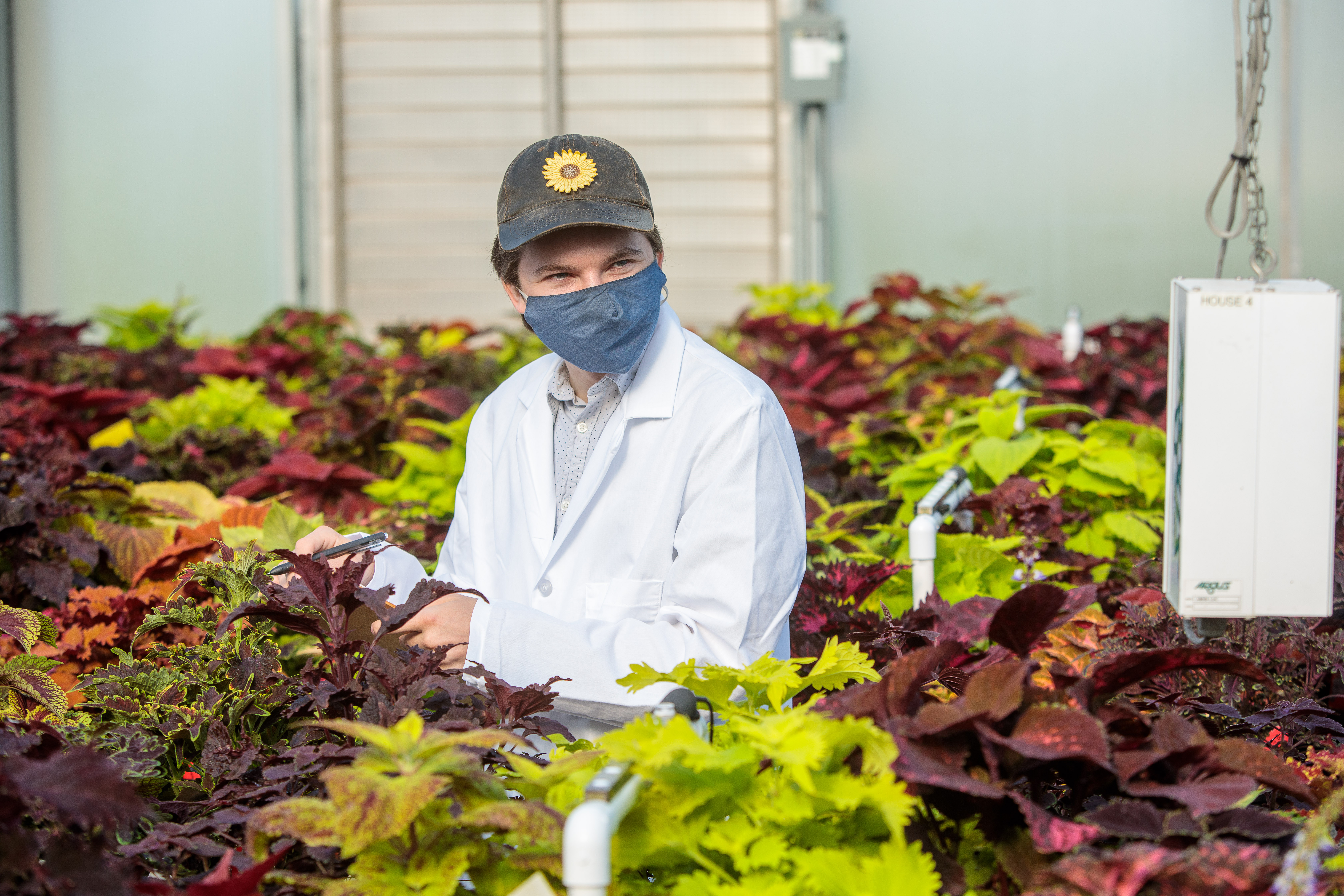 Undergraduate student Ty Rich leads a coleus cultivar trial at the University of Kentucky. Photo by Matt Barton