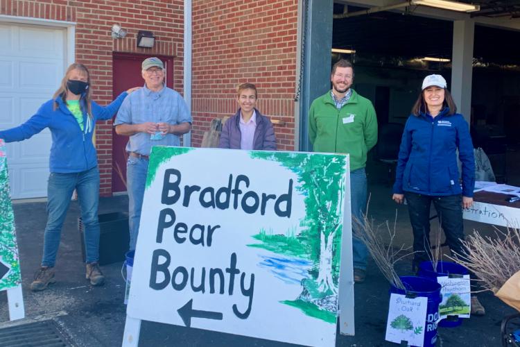 UK to help state’s landowners replace unwanted Bradford pears  