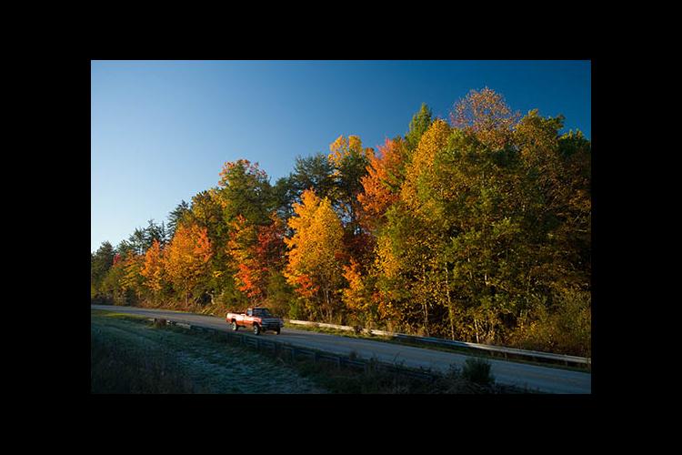 Autumn colors near the Powell County line 
