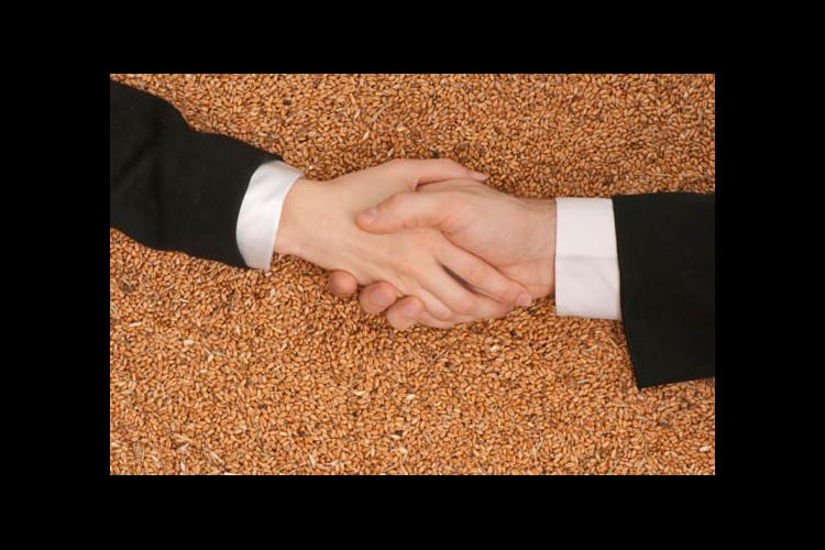 Handshake with grain in background