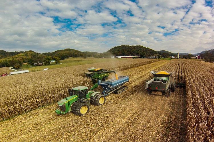 Corn harvest. Photo by Matt Barton,  UK agricultural communications.