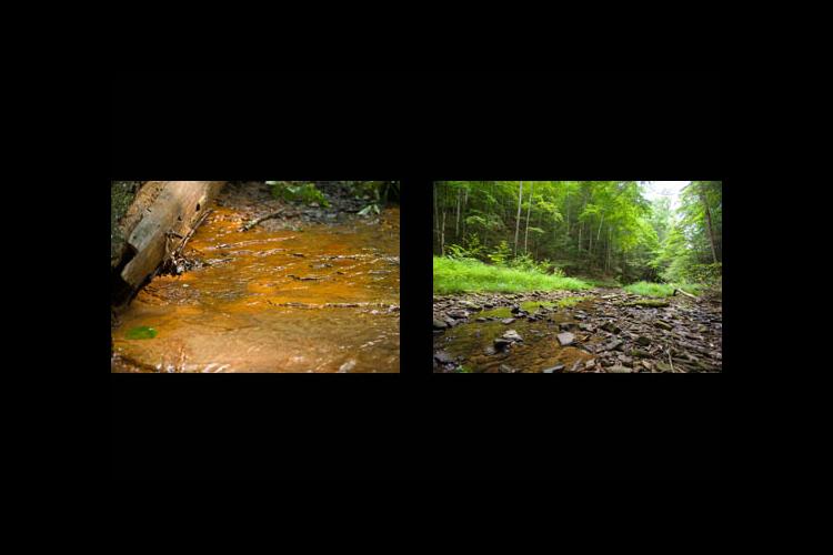 Two Kentucky streams: (l) Affected by surface mining (r) Undisturbed headwater stream in Robinson Forest 