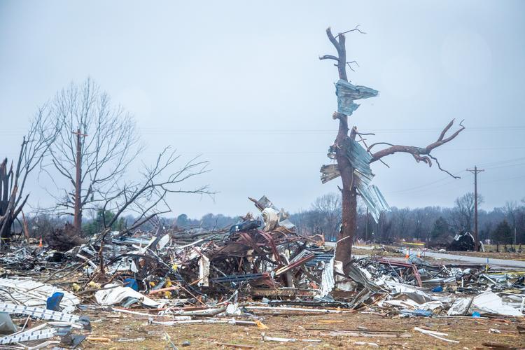 Tornado damage at the UK Research and Education Center in Princeton. Photo by Steve Patton, UK agricultural communications.