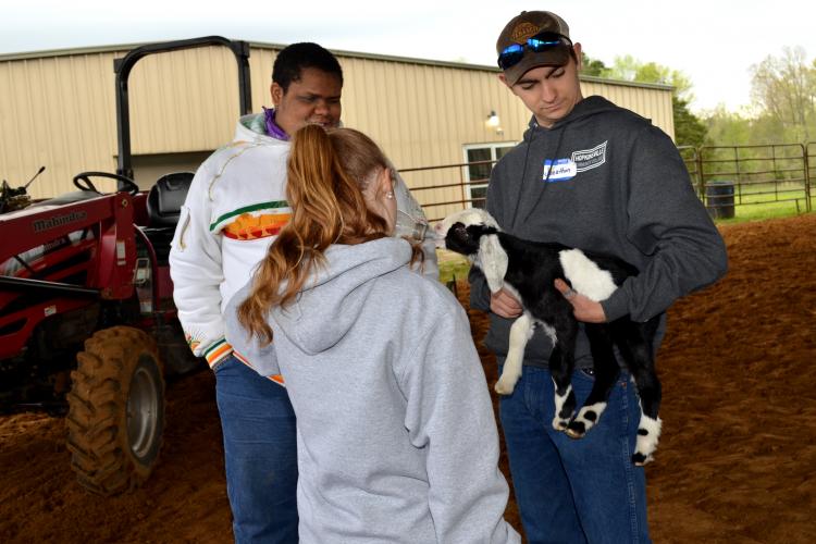 Briley Mitchell, back to camera, feeds a baby goat held by Jonathon Sink, right. DeKavion Jones looks on. 