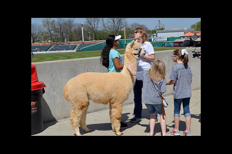 Paige Halcomb, left, and Janet Turley discuss alpaca's with two students at Ag Awareness Day at the Bowling Green Hot Rods. 
