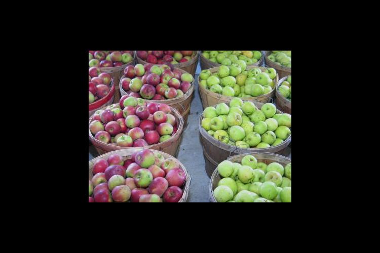 Apples in a Laurel County farmers market.