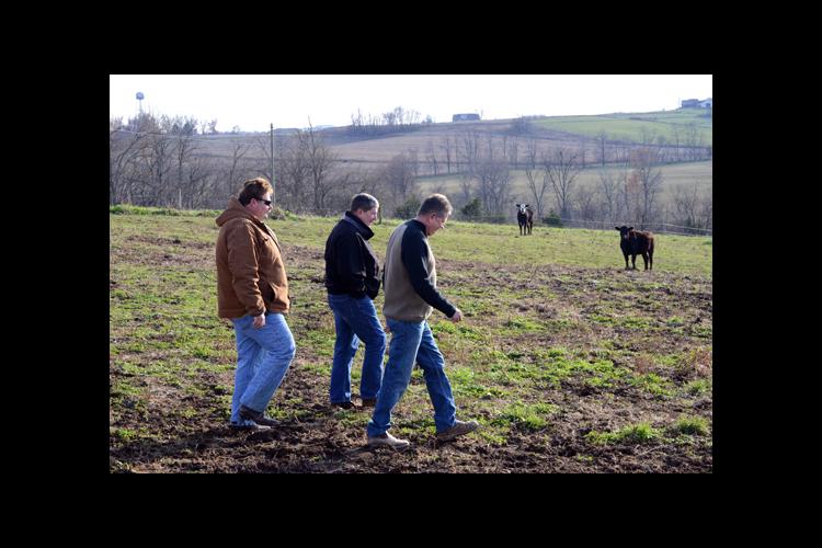 Rick Greenwell, center, Washington County ANR agent, walks with Patrick Wimsatt, left and Danny Spalding to check cattle. 