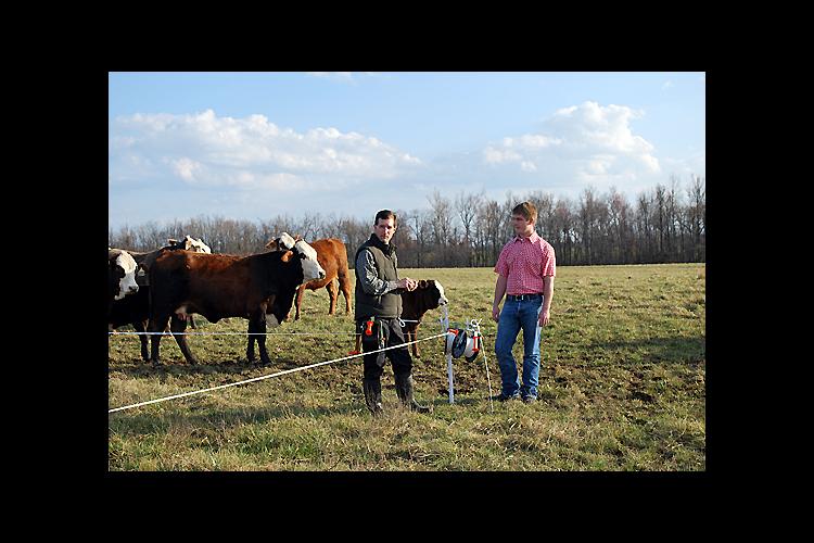 Greg Reynolds, left, and Jacob Reynolds install temporary fencing on a paddock. 