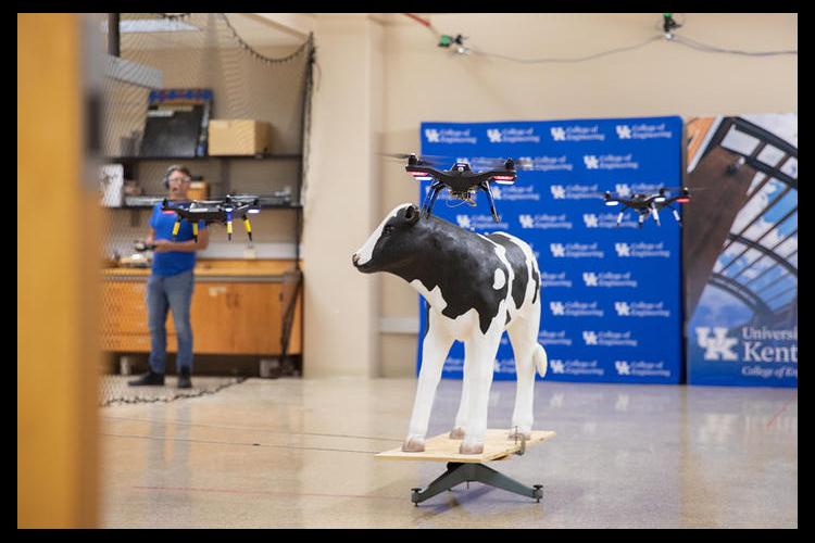 In the basement of an engineering building on UK's campus, there's a calf replica who goes by the name of Chuck. Chuck has been instrumental in perfecting the machine-learning and UAV-formation-control technology. Photo by: Eric Sanders.