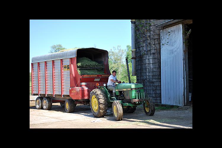 Adair County dairy farmer Jonathan Gaskins hauls silage to on-farm storage. 