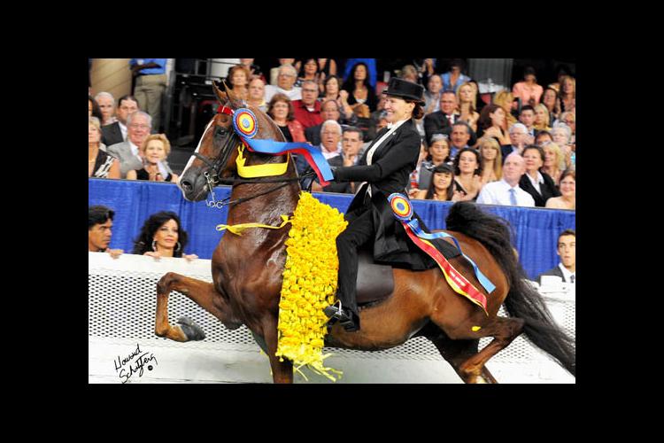 Misdee Wrigley Miller on horse