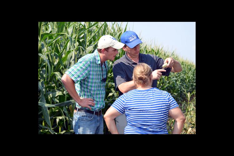 UK grain crops specialist, Chad Lee, center, shows Brad Hagan and Lauren Settles how to determine if pollination took place. 