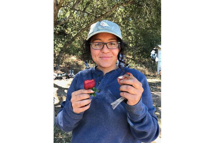 Karina Garcia, UK doctoral student, holds a house finch and a strawberry in a previous study in Prunedale, California. Photo by Elissa Olimpi, post doctoral scholar at University of California, Davis.