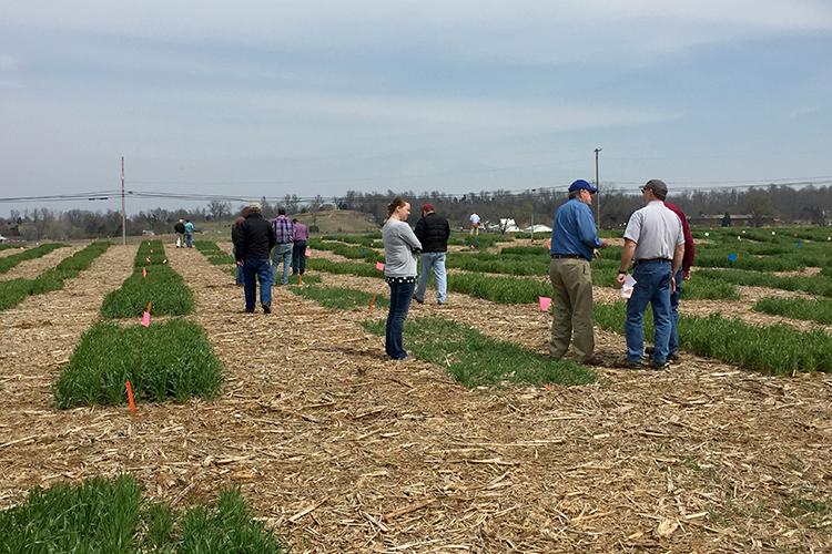 The KATS Green-up Workshop will offer producers information that will help them make informed decisions during wheat green-up and as they prepare to plant corn and soybeans. Photo courtesy of KATS. 