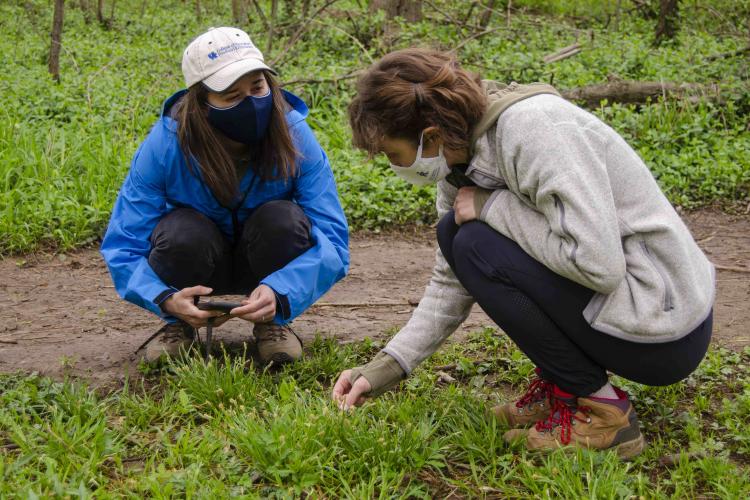 Students learn about their local environment in the Master Naturalist Program.