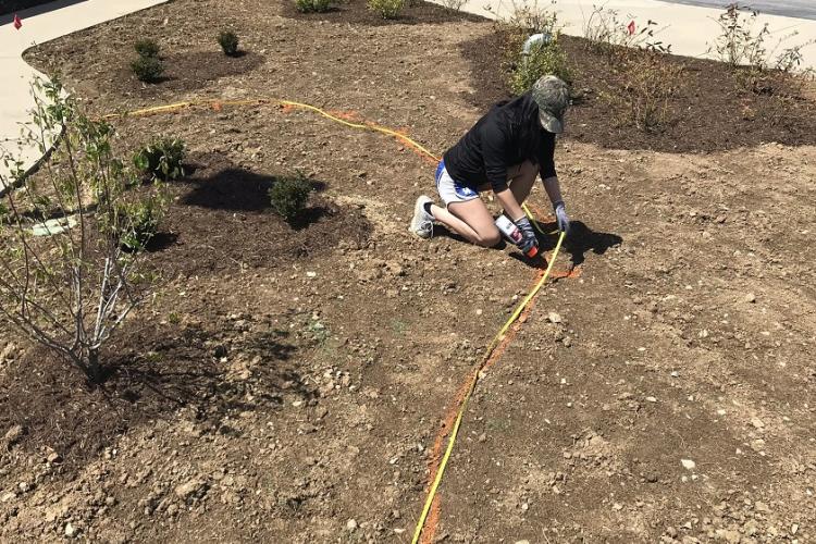 Megan Griebel helped select and arrange a diverse array of native trees, shrubs, perennials and grasses for the new green space.