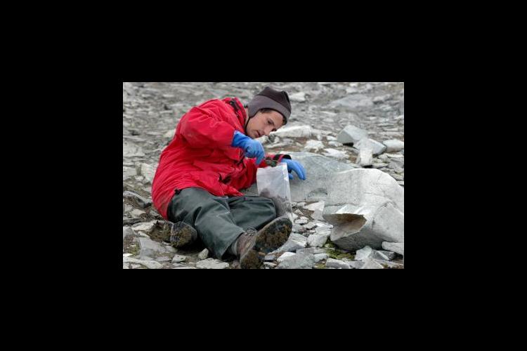 UK entomologist Nick Teets collects midges on a previous trip to Antarctica. 