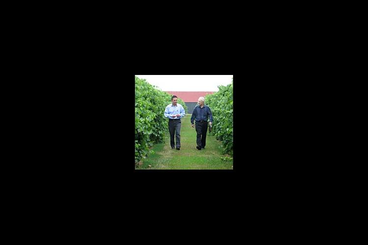 Kaan Kurtural (left) and Tom Cottrell are working together to field test Traminette grapes at Talon Vineyard and Winery in Fayette County.