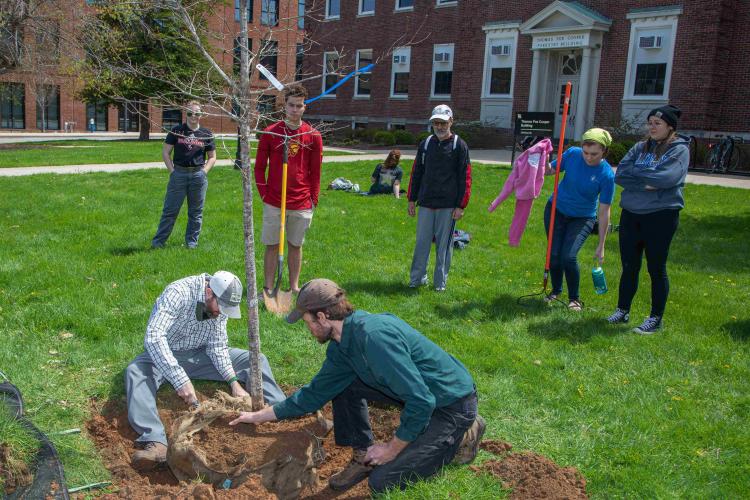 The fifth-annual Tree Week will kick off with a signature tree planting.