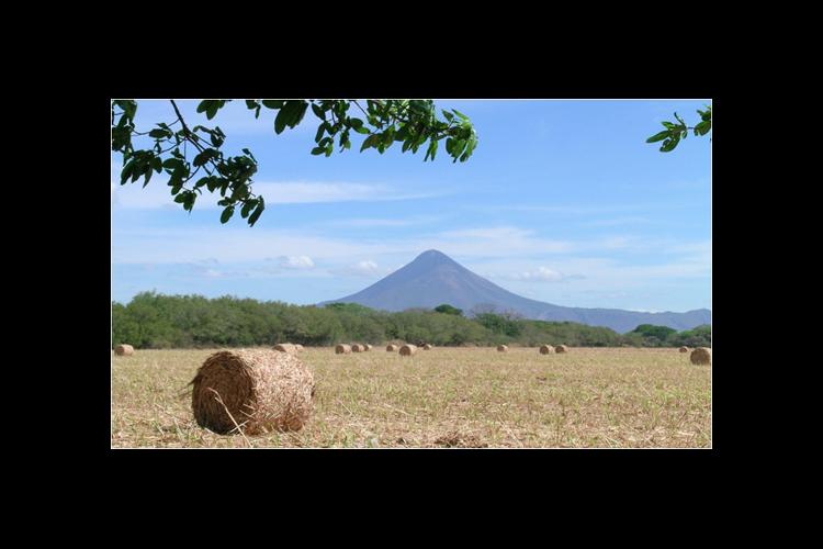Hay rolls stand in a Nicaraguan field with Volcano Momotombo in the background. 