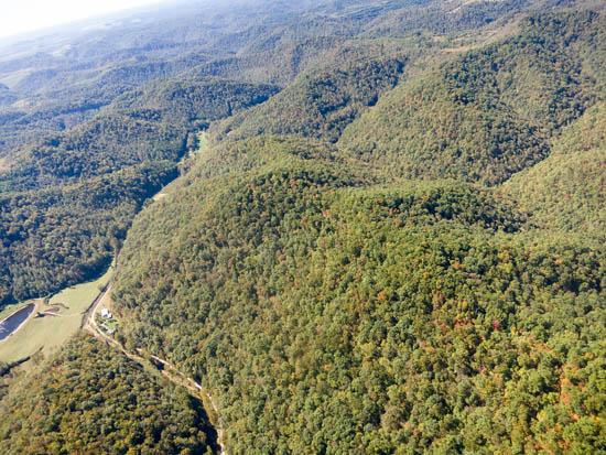 Eastern Kentucky forests offer economic hope to the region.
