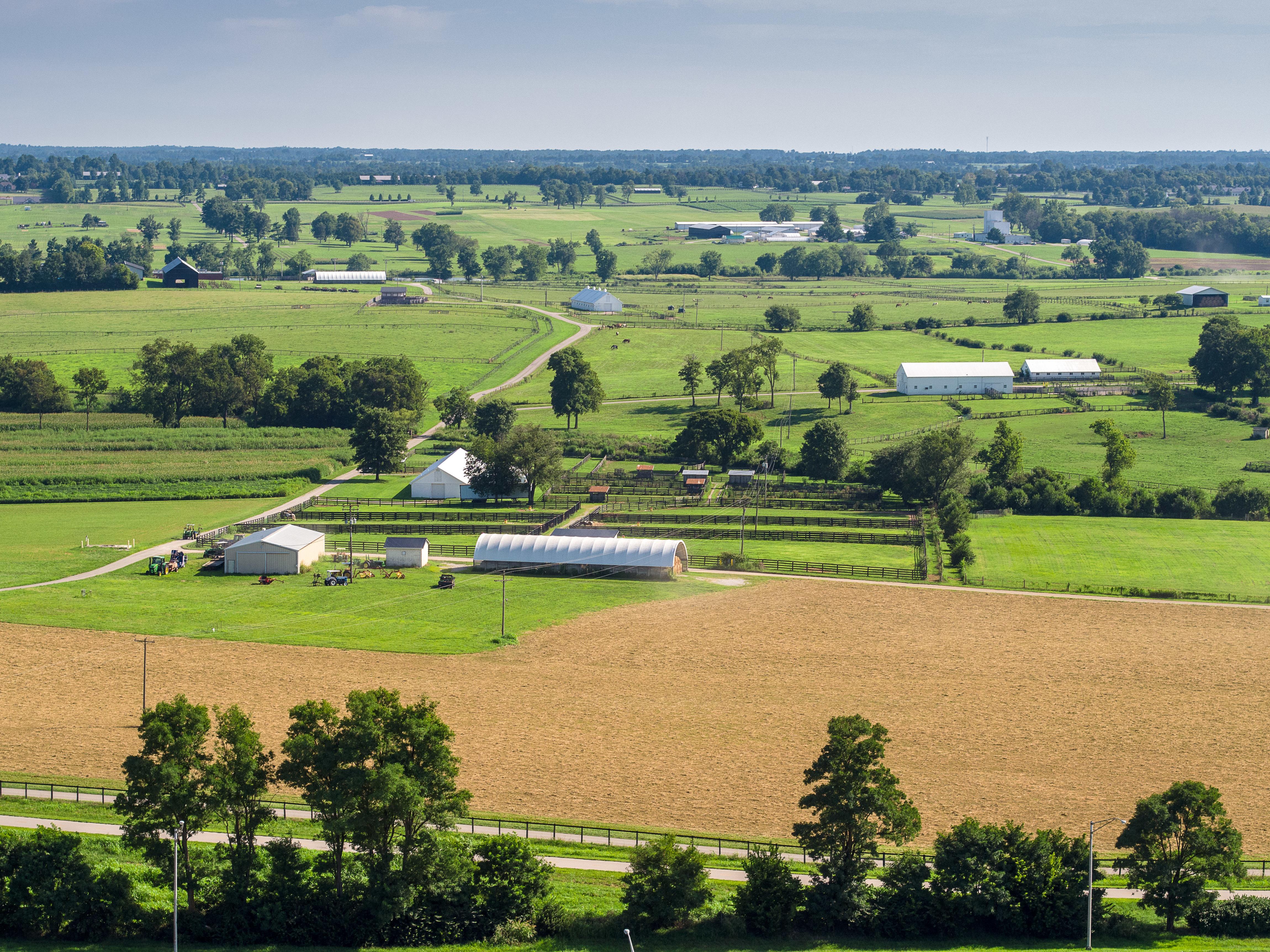 Aerial picture of Kentucky farm land. Photo by Matt Barton, UK agricultural communications.