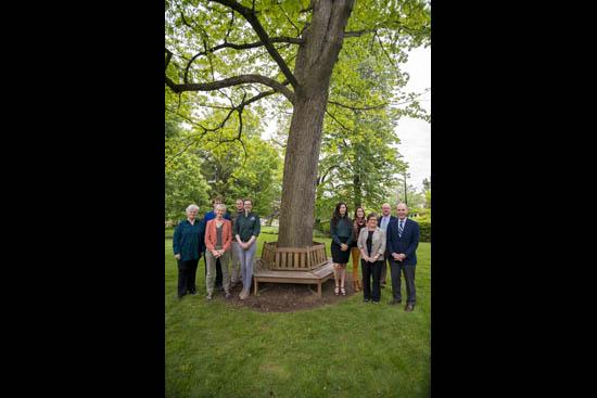 A gathering beneath a white oak on campus 