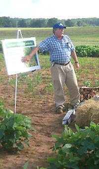 UK Entomologist Grayson Brown discusses the soybean aphid during the recent UK College of Agriculture Field Day in Princeton. The plant pictured below is covered with the aphids.