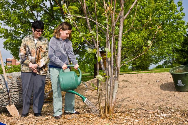 Planting a tree at a previous Arbor Day event. 