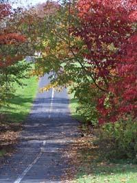 paved trail through arboretum