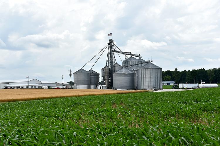 Bins on Ryan Bivens' Fresh Start Farms. Photo by Katie Pratt