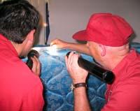 inspecting for bed bugs inspecting for bed bugs