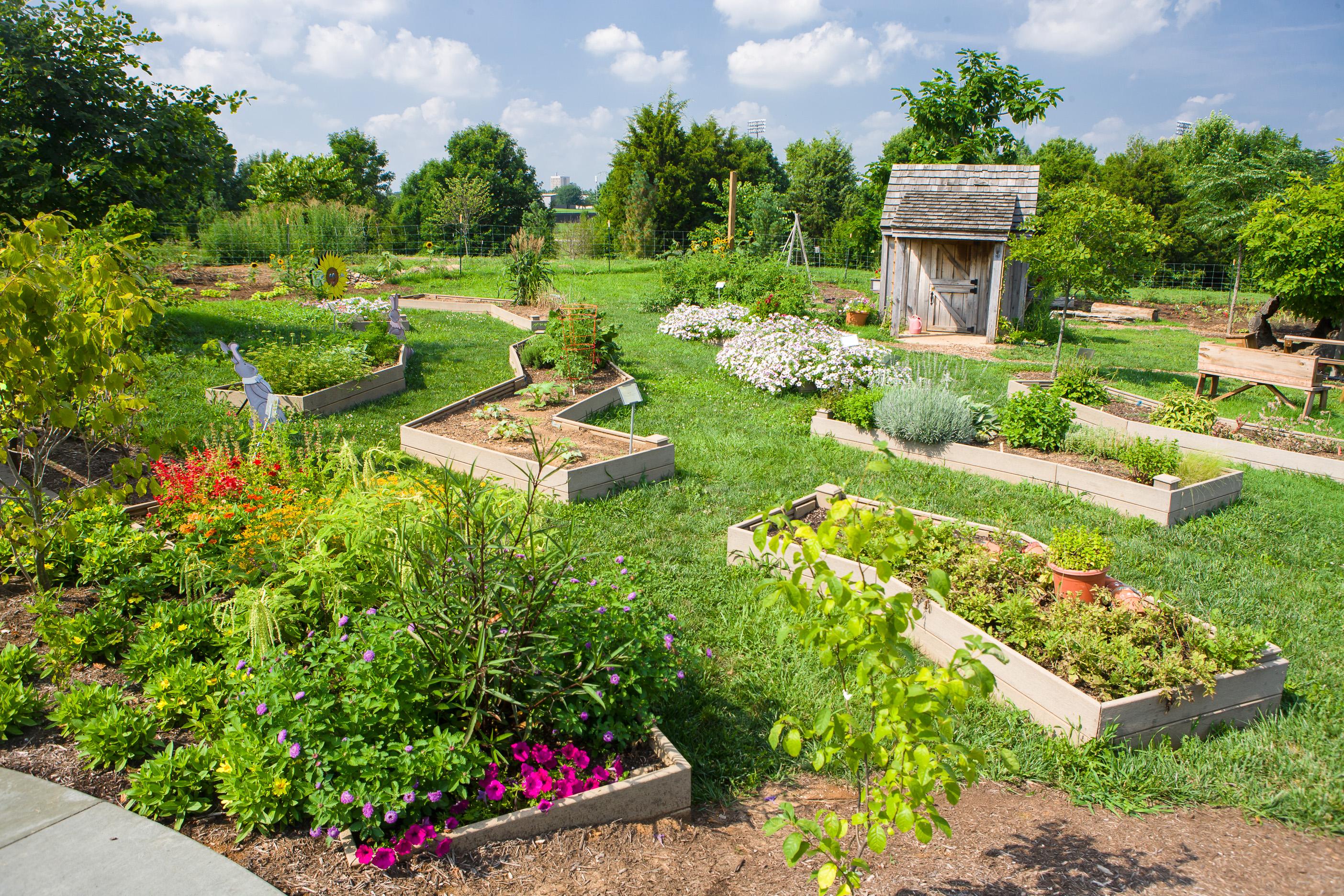 Raised beds gardens like these at The Arboretum's Kentucky Children Garden are ideal for beginning gardeners.  Photo by Matt Barton, UK agricultural communications.
