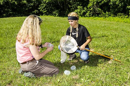 Stacia Hoffman collects insects with the help of Laurie Taylor Thomas at the 2016 Kentucky Forest Leadership Program 