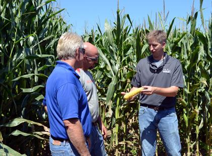 Chad Lee, right, shows Bob Wade, left, and Richard Colvin the result of irrigation on the corn crop thus far. 