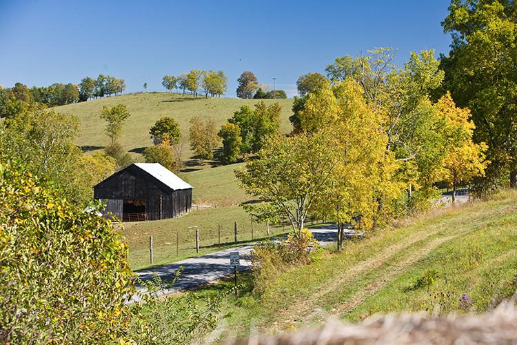 A Kentucky farm in autumn. Photo by Matt Barton, UK agricultural communications.