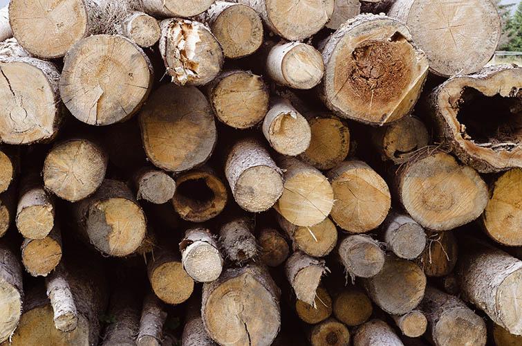 logs stacked in a heap