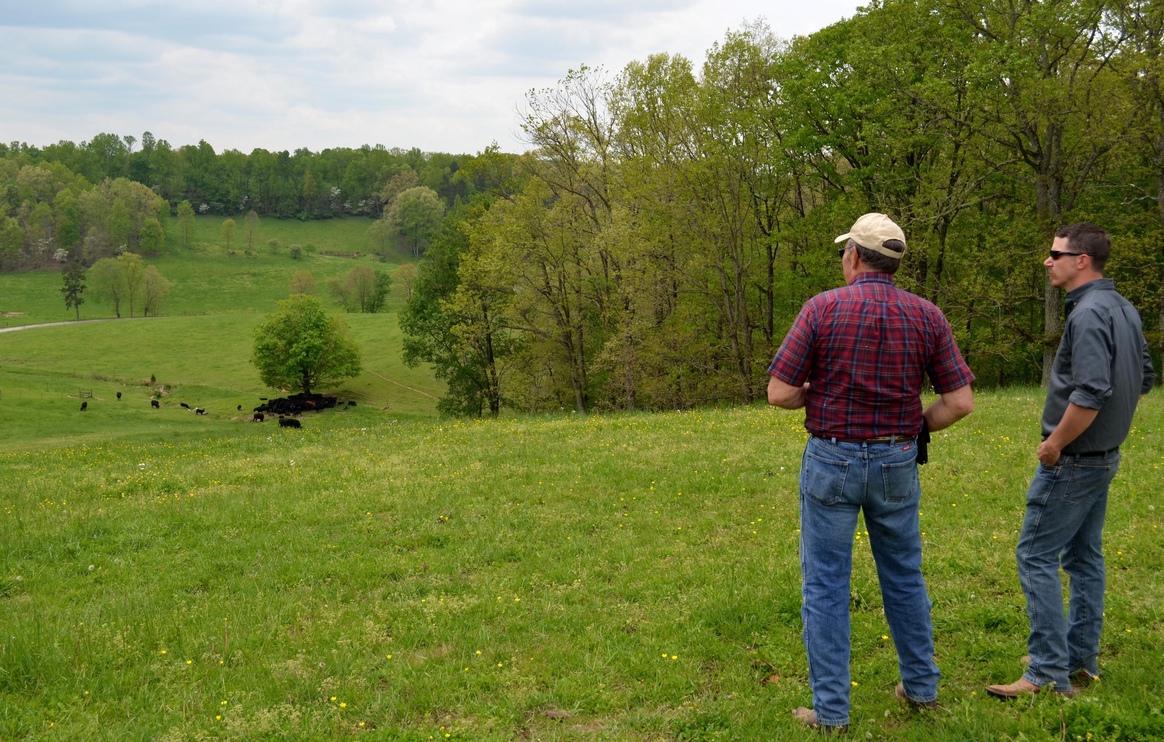 Jackson County producer Bob Hornsby, left, and David County, agriculture and natural resources extension agent, look at Hornsby's cattle and pastures during a recent visit. 